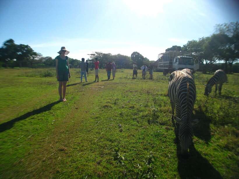 Coron: Calauit Safari Adventure - Meeting Giraffes, Zebras, and Gazelles