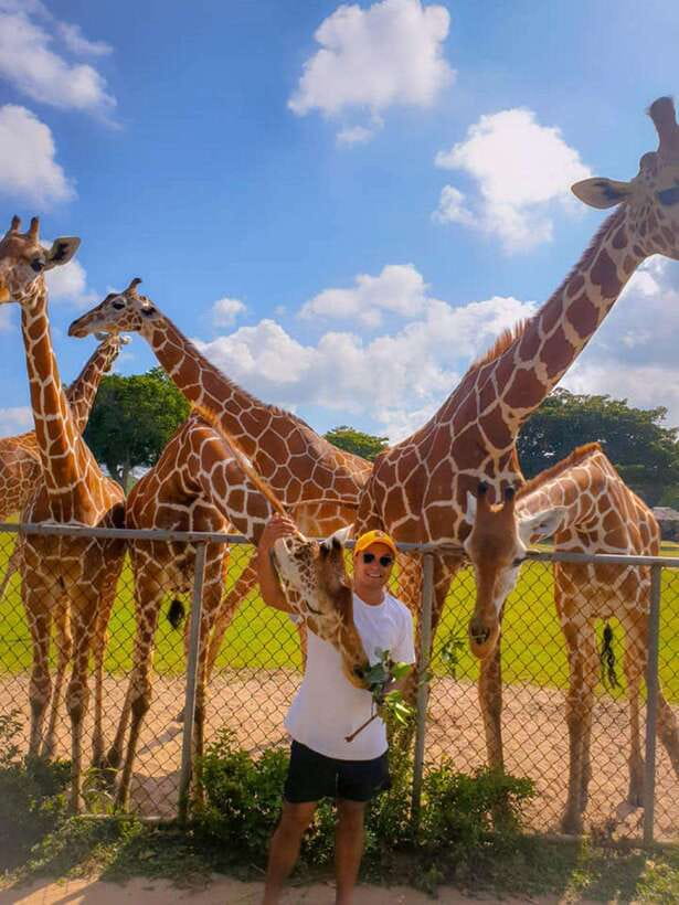 Coron: Calauit Safari Black Island Lunch & Transfer included - What the $94 price really covers