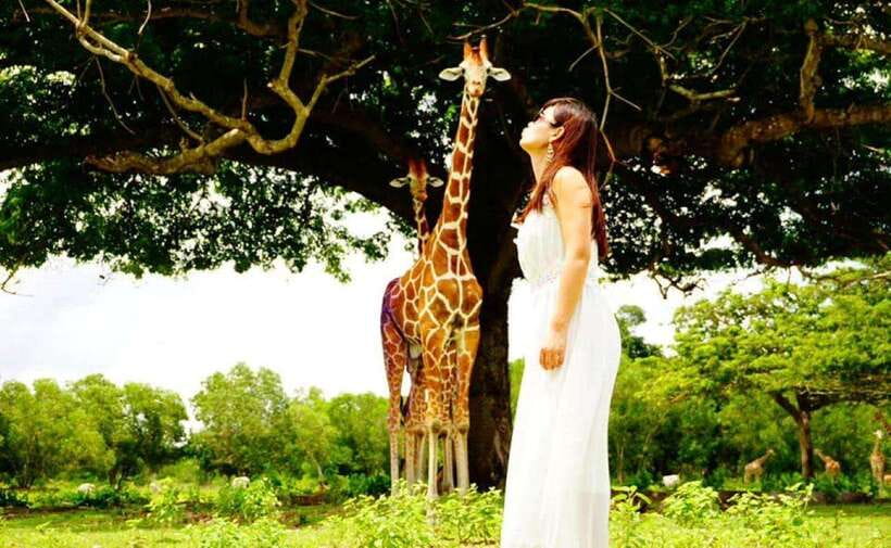 Calauit Safari Black Island Lunch & Transfer included