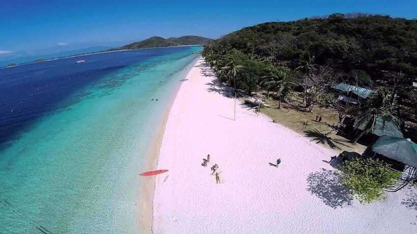 Coron: Complete Island Hopping Guided Tour with Lunch - Reef Garden: the strongest coral stop