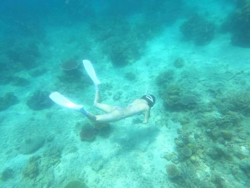 Coron: Dugong Watching with Sea Turtle and Coral Garden tour - Why the dugong encounter is special
