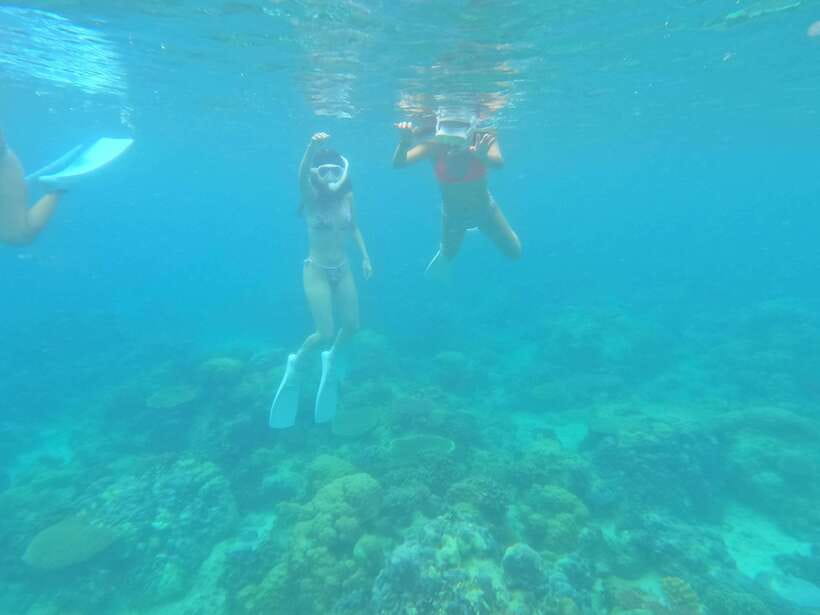Coron: Dugong Watching with Sea Turtle and Coral Garden tour - Breakfast makes the early departure easier