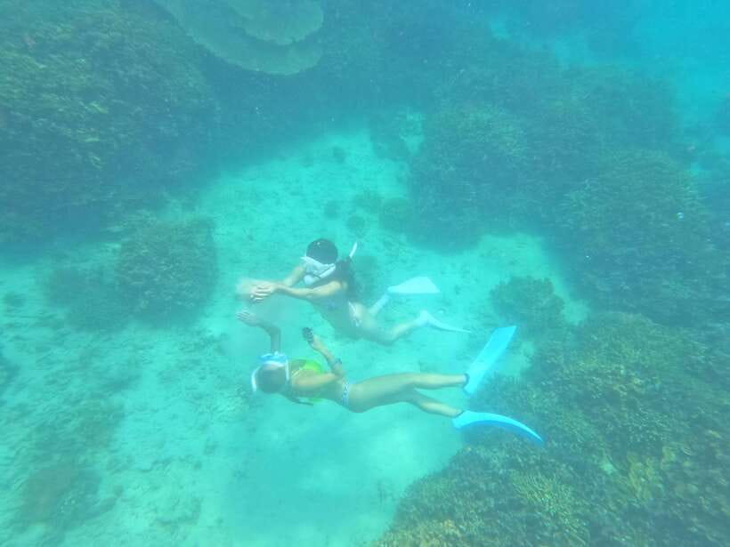 Coron: Dugong Watching with Sea Turtle and Coral Garden tour - Coral Garden at Dimipac Island