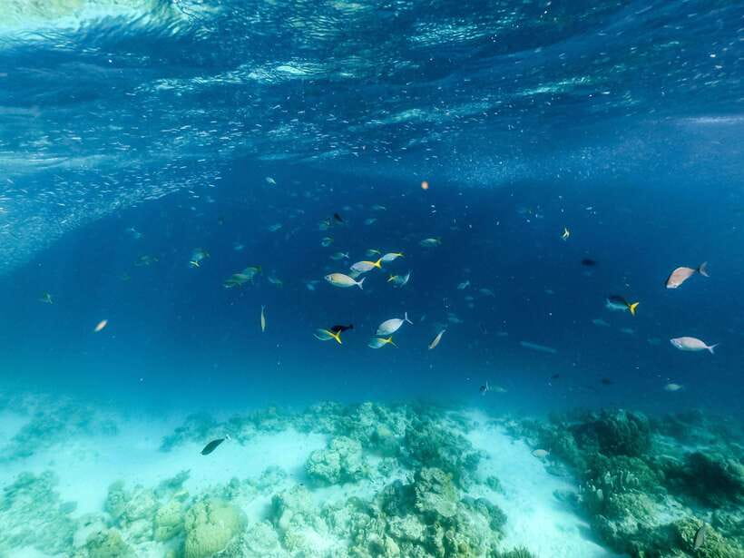 Coron Island Hopping: Super Ultimate Private Tour - What the private boat changes