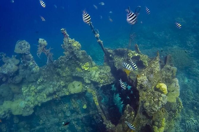 Coron Island Tour B (Private) - Key points to know before booking