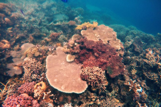 Coron Island Tour B (Shared Tour) - What $110 buys you around Coron