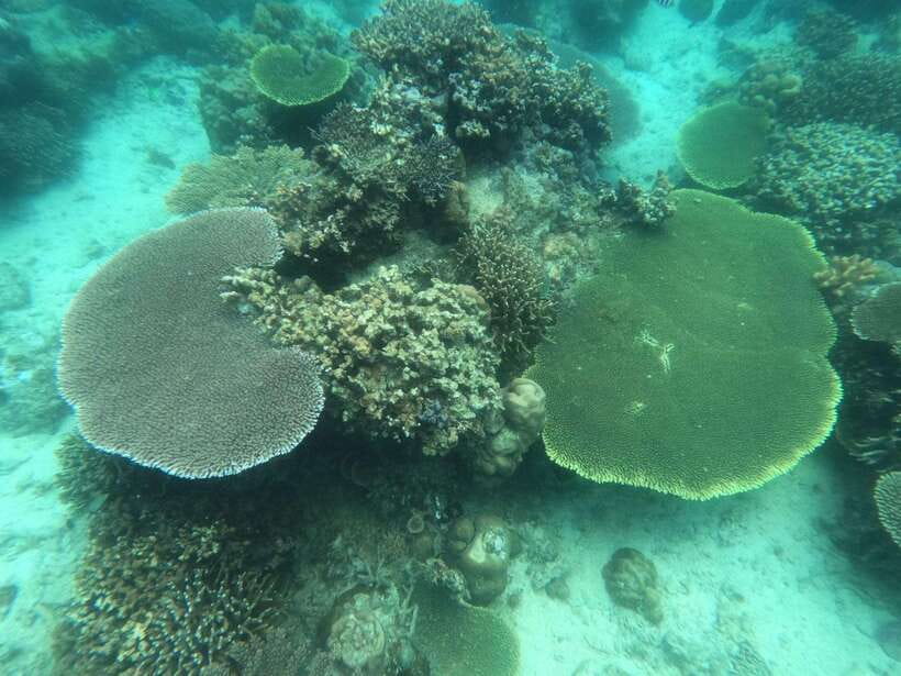 Coron: Kayangan Lake, Twin Lagoon, and Siete Pecados Tour - Boat transfers, timing, and the human side of the trip