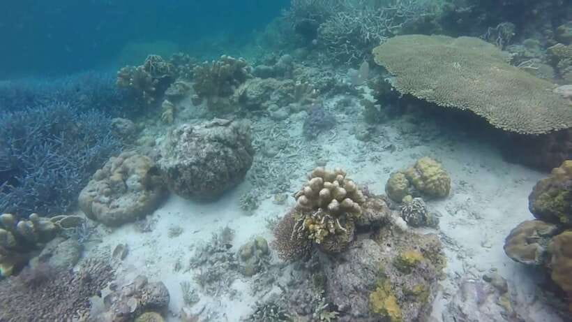 Coron: Off-Bay Islands, Lagoons and Lakes Hopping Tour - Atwayan Beach and the reef stops