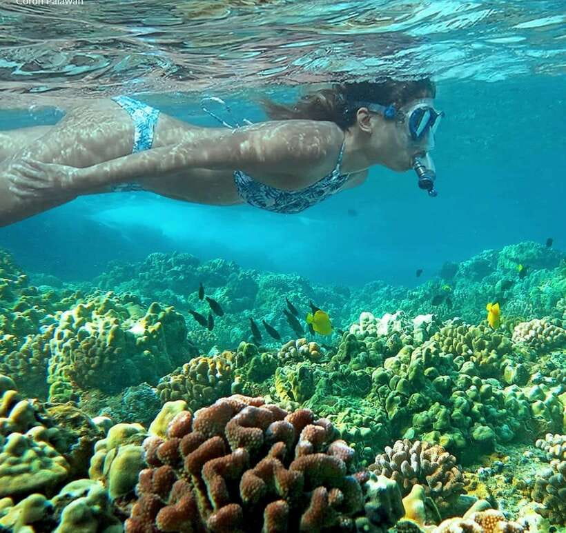 Coron Private Tour B: Barracuda Lake and Smith Beach - Snorkeling at Reef Garden