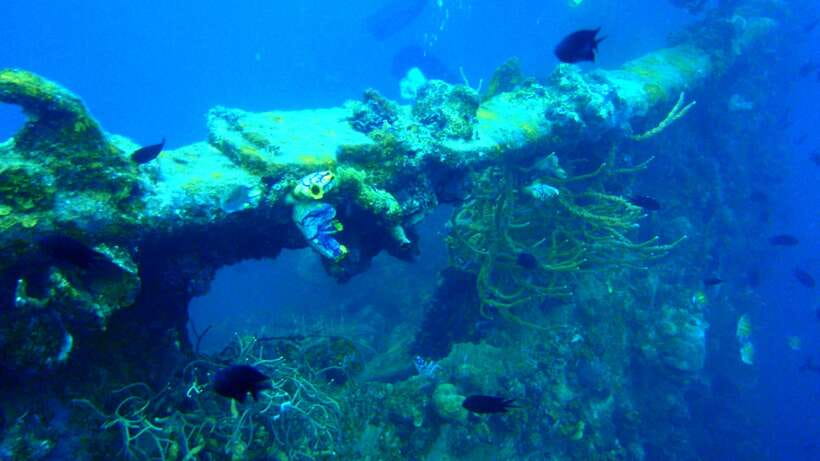 Coron Private Tour D: Reef and Wrecks - What the 8-hour Coron day looks like