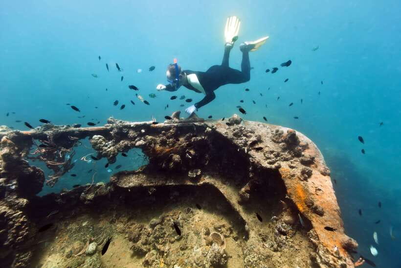 Coron Private Tour D: Reef and Wrecks - Lusong Gunboat: wreck photography and reef life