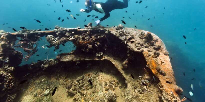 Coron Private Tour D: Reef and Wrecks - Practical ways to make the day better