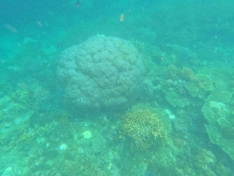 CORON:REEF AND WRECK - 2 JAPANESE WRECK AND PASS ISLAND TOUR - Who will enjoy this Coron day trip