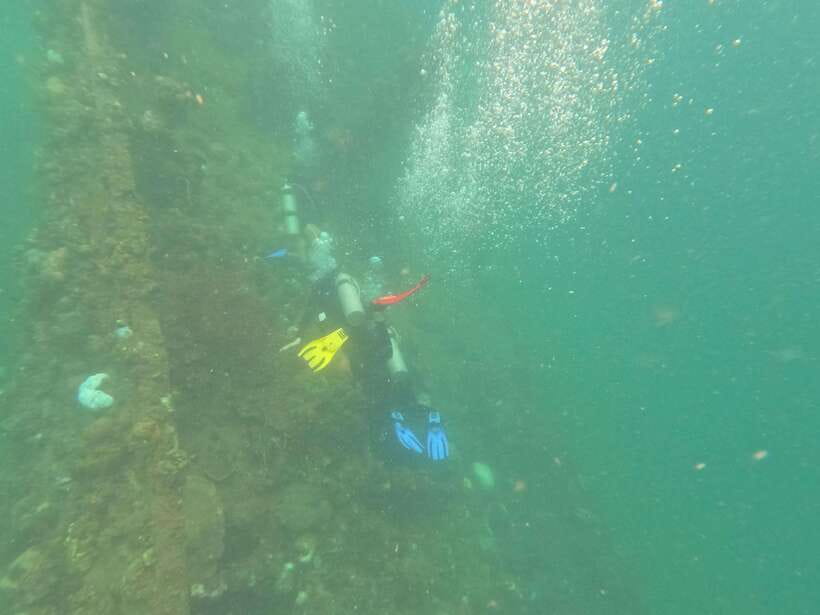 CORON:REEF AND WRECK - 2 JAPANESE WRECK AND PASS ISLAND TOUR - Starting at Lualhati Park