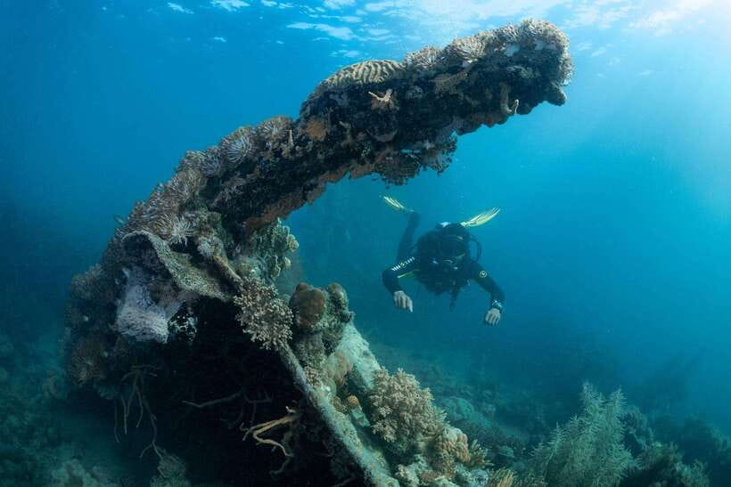 Coron Reef and Wrecks Tour (Private Tour) - Key points at a glance