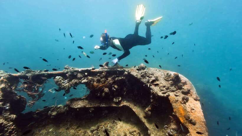 Coron Reef and Wrecks Tour (Private Tour) - Why this Coron trip works so well