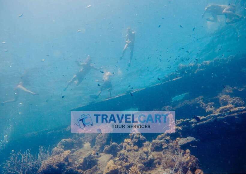 Coron Reef & Wrecks Tour - Starting in Coron at 8:30 AM