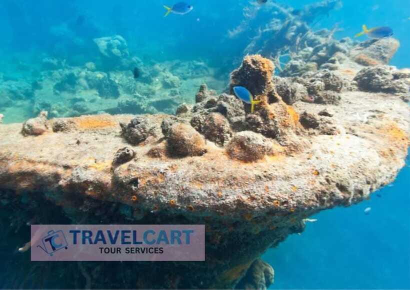 Coron Reef & Wrecks Tour - Lunch, Kayaking, and the Pace of the Day