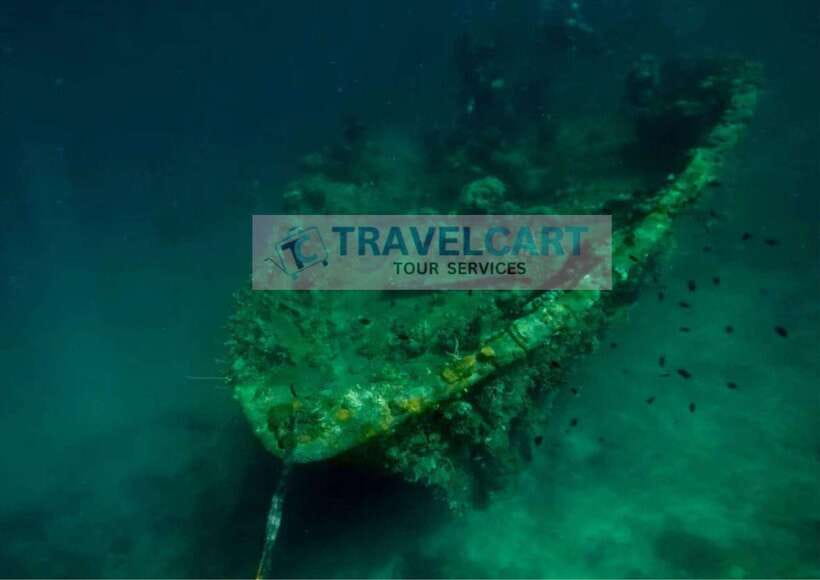 Coron Reef & Wrecks Tour - Pass Island Brings a Real Beach Break