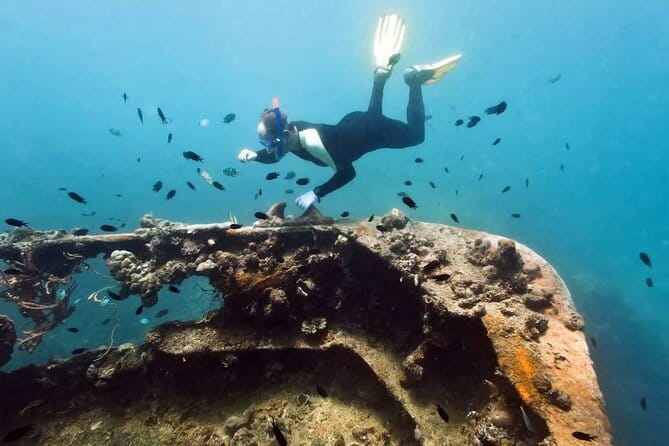 Coron Reefs and Wrecks Tour - Lusong Coral Garden: start with color and movement