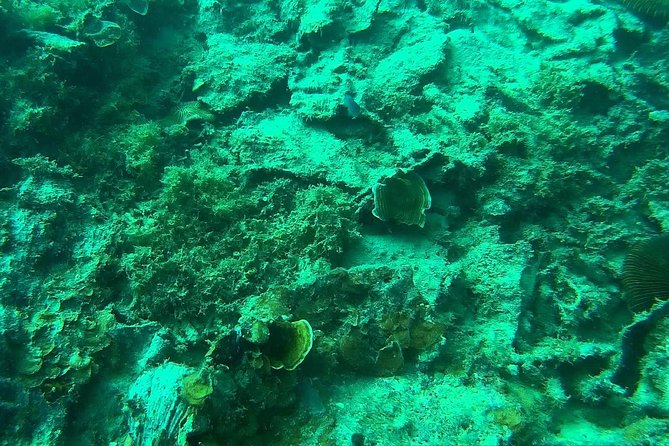 Coron Reefs & Wreck Tour (Shared Tour) - An 8:00 a.m. start from Coron