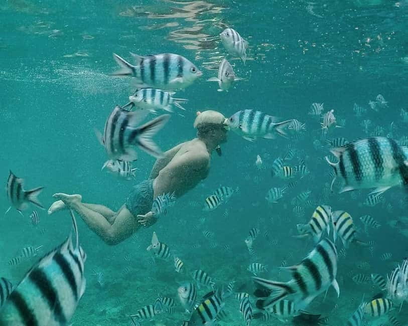 Coron: Super Ultimate 7 Destination with Lunch & Transfer - Coral Garden for underwater color