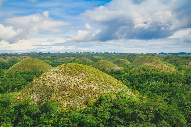 Day Swing to Bohol - Key points to know before booking
