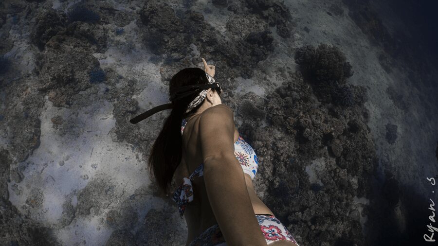 Discover Freediving in Boracay - What the High Rating Tells You, and What It Does Not