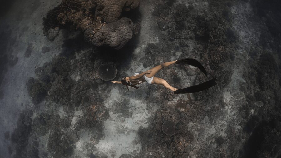 Discover Freediving in Boracay - Booking Flexibility and Simple Preparation