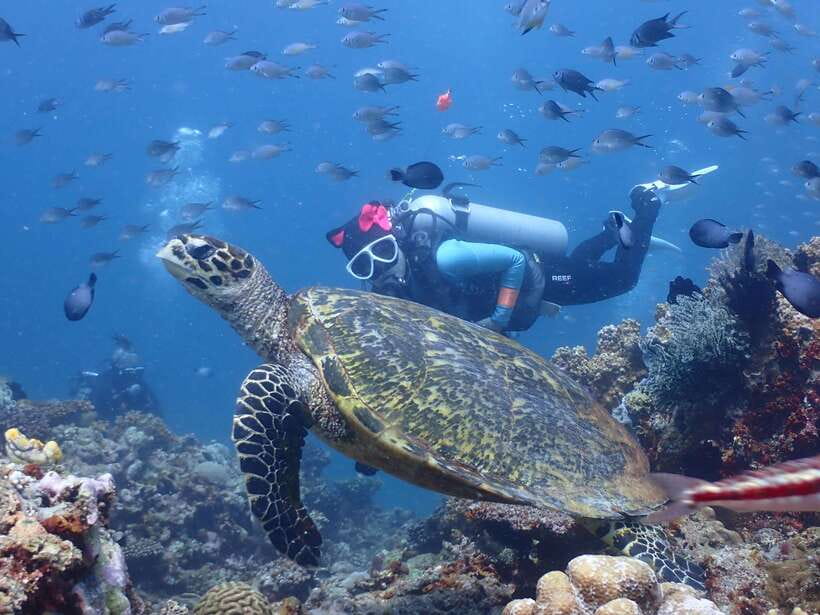 Discover Scuba Diving in Boracay - The briefing and practice period