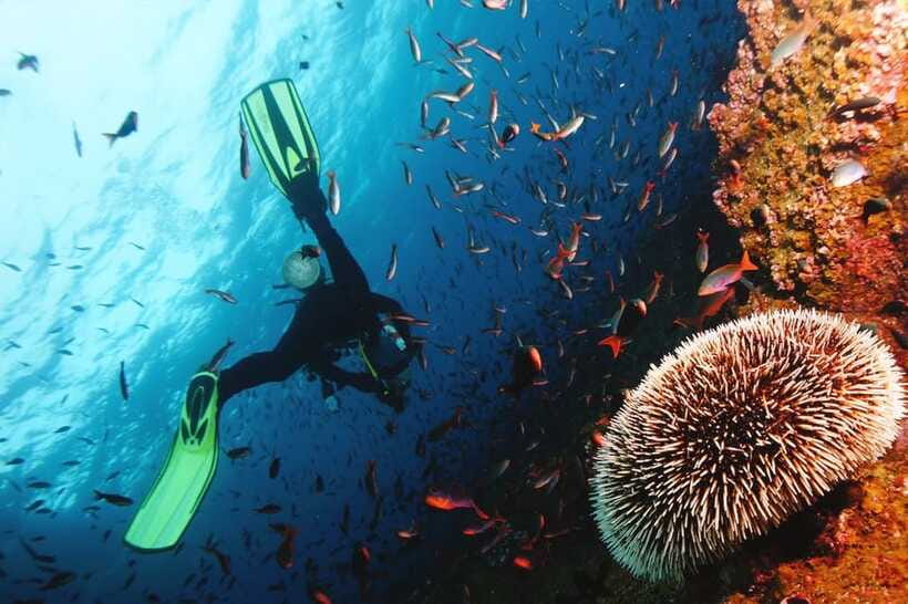 Discover Scuba Diving in Boracay - Safety, comfort, and the tank concern