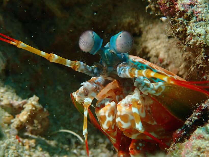 Discover Scuba Diving in Boracay - Meeting at White Beach