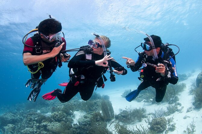 Discover Scuba Diving in Boracay with U/W Photo and Video - What the $65 Boracay experience includes