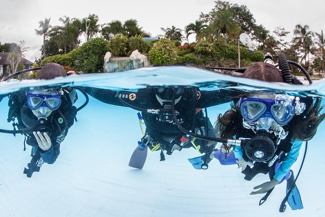 Discover Scuba Diving - The first breath: video, equipment, and nerves