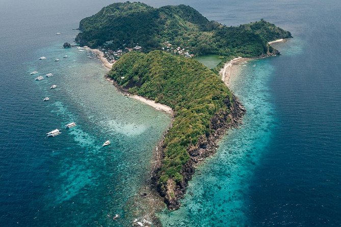 Dumaguete Apo Island Snorkeling Tour - Why Apo Island Makes a Strong Day Trip