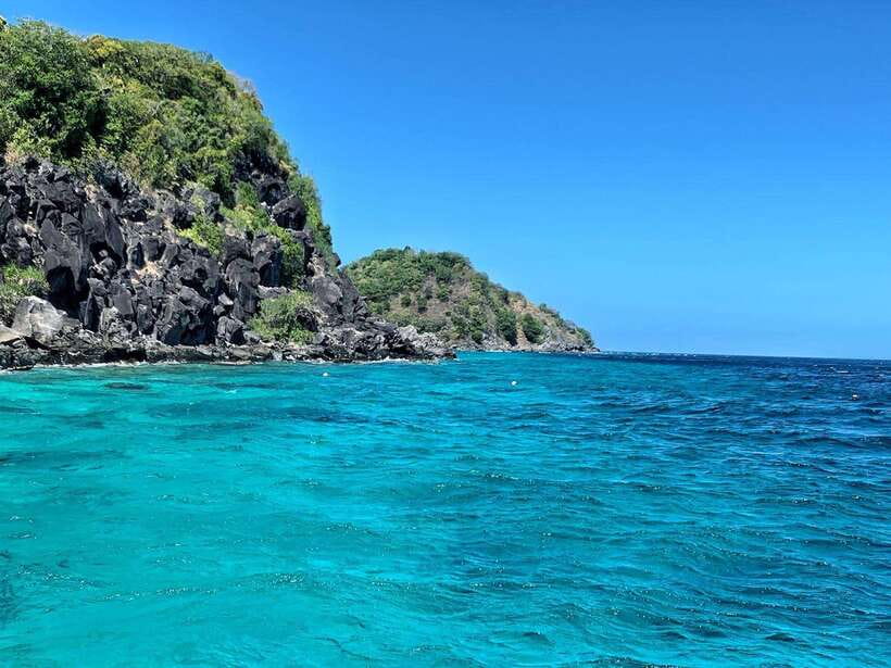 Dumaguete Apo Island with Turtle Snorkeling - Key points to know before you go
