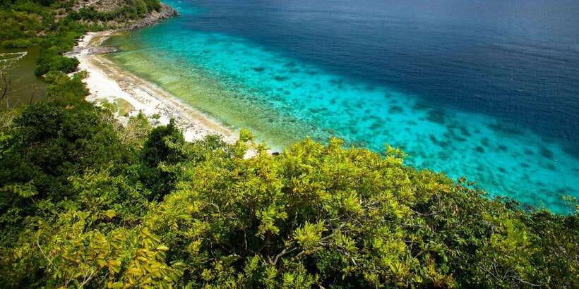 Dumaguete Apo Island with Turtle Snorkeling - Who will enjoy this Apo Island day?