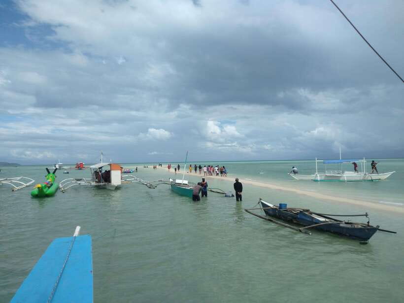 Dumaguete: Dolphin Watching & Manjuyod Sandbar Private Tour - Swimming and snorkeling in Bais Bay