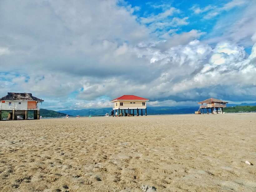 Dumaguete: Dolphin Watching & Manjuyod Sandbar Private Tour - What the private format is really worth