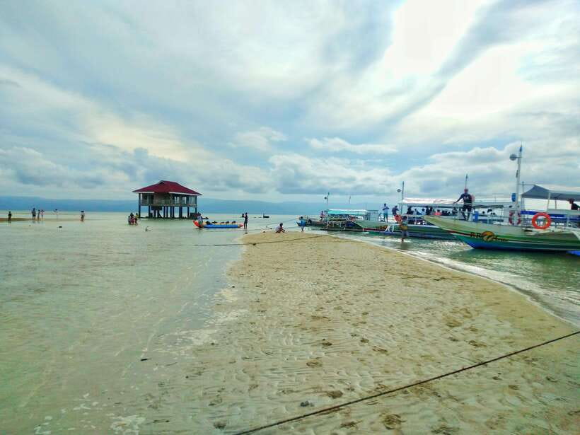 Dumaguete: Dolphin Watching & Manjuyod Sandbar Private Tour - Final call: book it with clear expectations