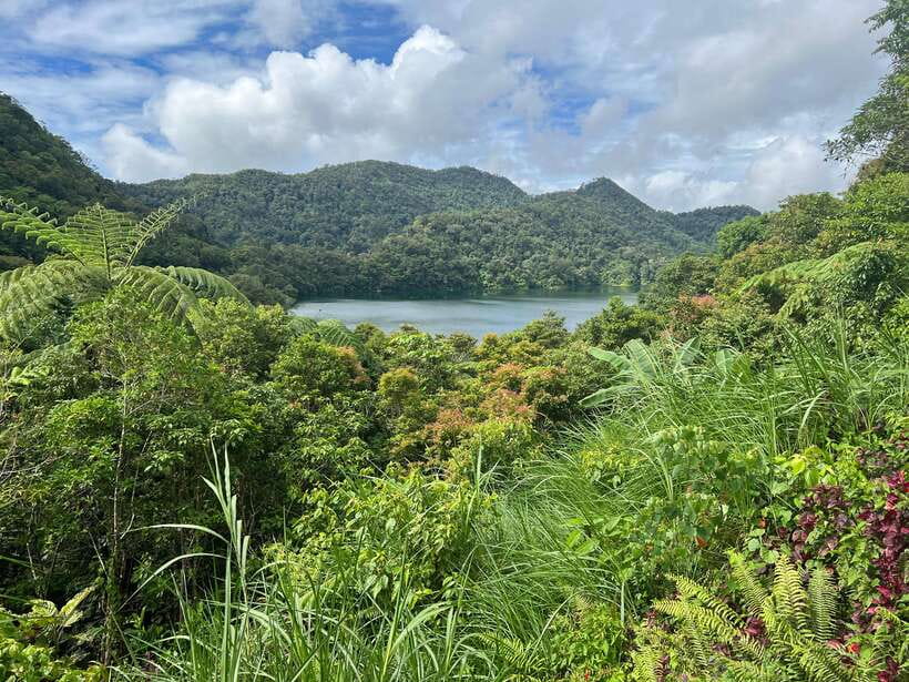 Dumaguete Full-Day Nature Tour in English - Coffee, hot springs, and other possible stops