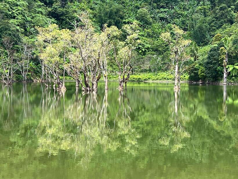 Dumaguete Full-Day Nature Tour in English - The vehicle and guide make a real difference