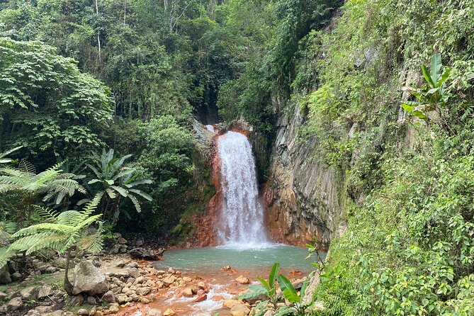 Dumaguete Tours in English - Key points at a glance