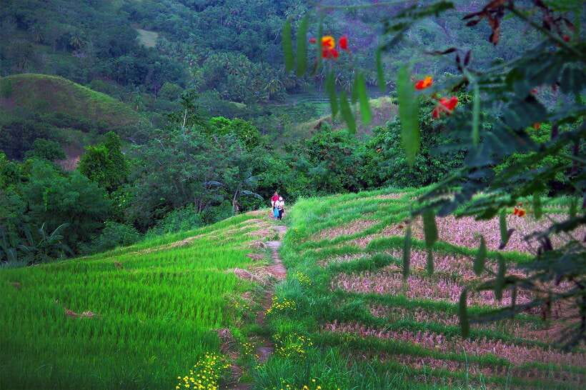 East Bohol Private Tour: Anda, Waterfalls & Lamanok Island - Is $243 per person good value?