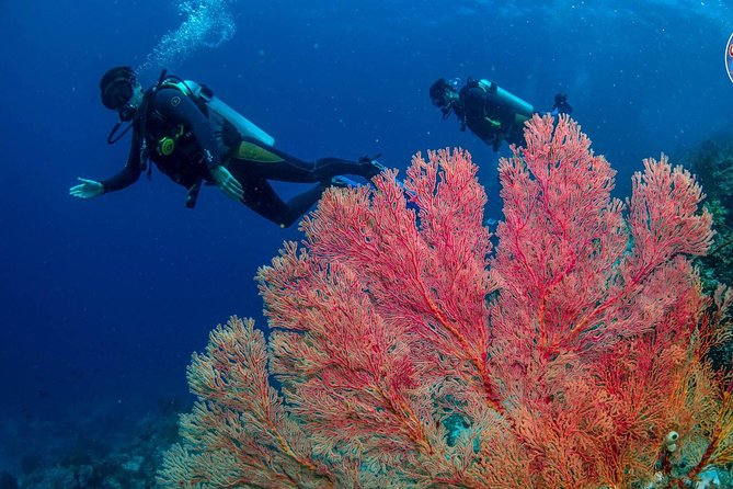 Easy Fun Scuba Dive in El Nido - Lunch on the boat and a choice for the afternoon