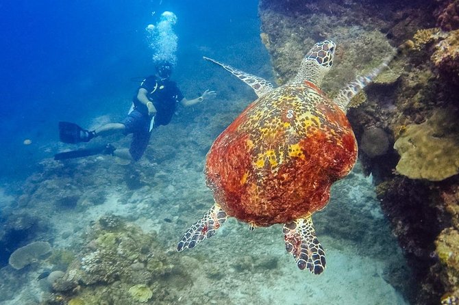 El Nido: 3 Days and 2 Nights - Guides, crew, food, and the human side