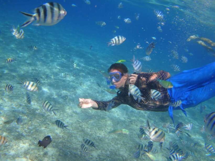 El Nido: Island Hopping Tour A Lagoons and Beaches - Seven Commandos Beach and its coconut-lined shore