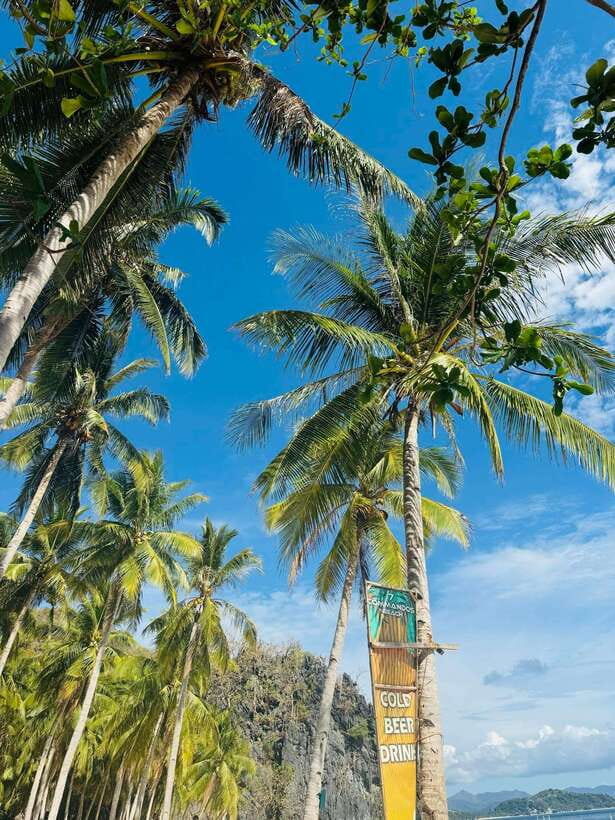 El Nido: Island Hopping TOUR A with Lunch, Transfer & EDTF - Shimizu Island: Lunch Beside Clear Water