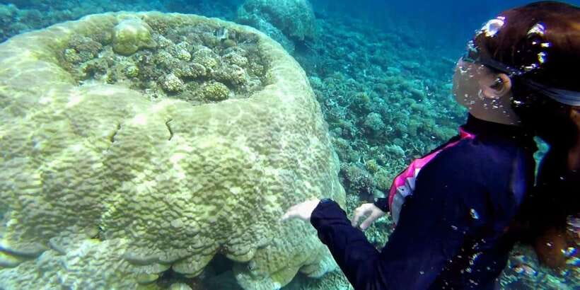 El Nido: Island Hopping Tour B Cudognong Cave & More - The guides make the difference