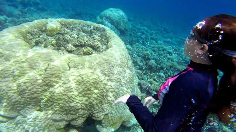 El Nido: Island Hopping Tour B Cudognong Cave & More - Six hours across Bacuit Bay